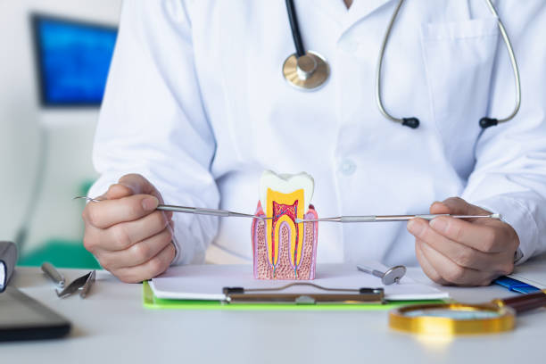 Best Emergency Treatment for Jaw Pain or Injury in South Patrick Shores, FL